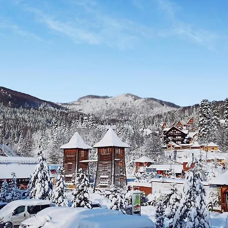 Satori * Migovo