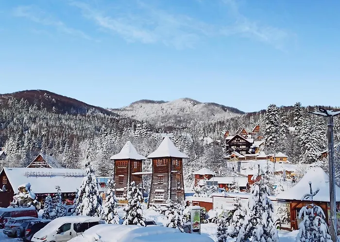 Satori * Migovo
